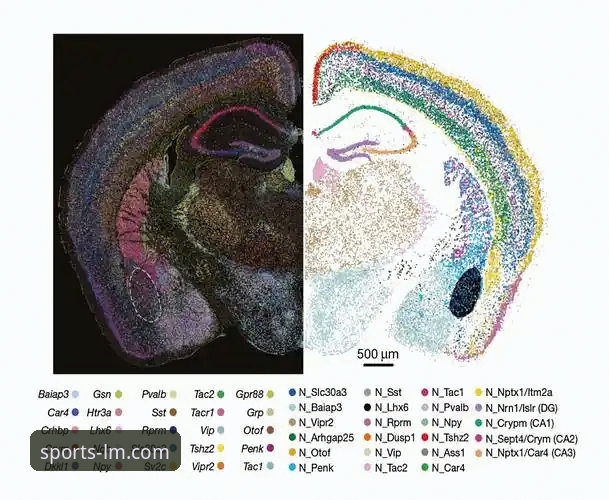 lm体育赛事资讯攻略 揭秘阿坎吉处子球背后的数据密码:一场5-0大胜的战术切片与观赛新维度